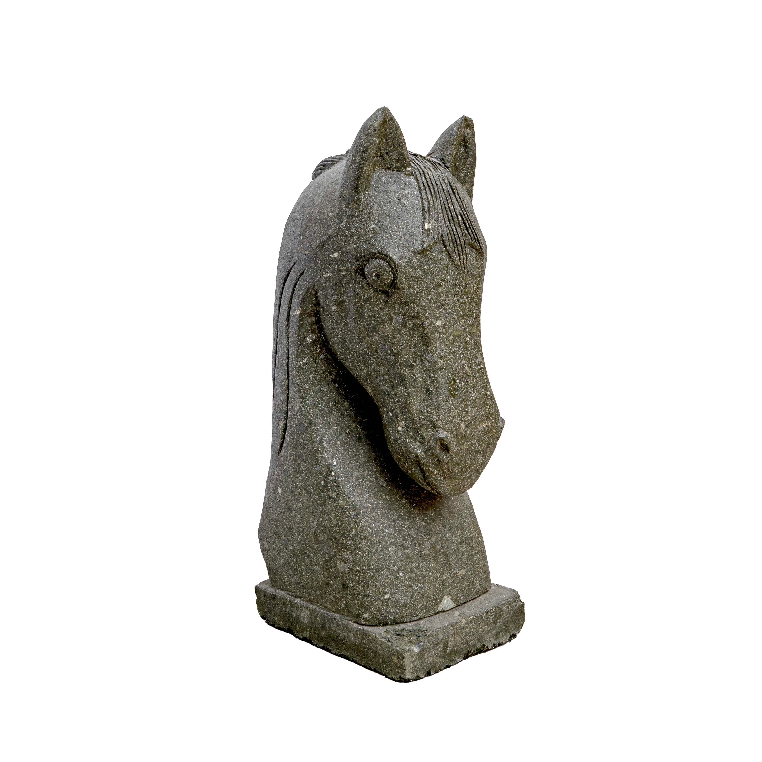 HORSE SOMA