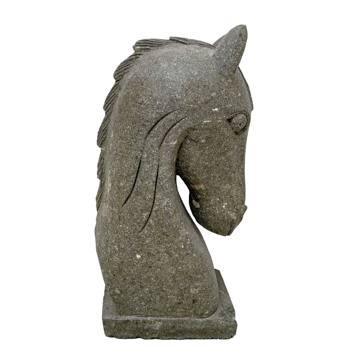 HORSE SOMA