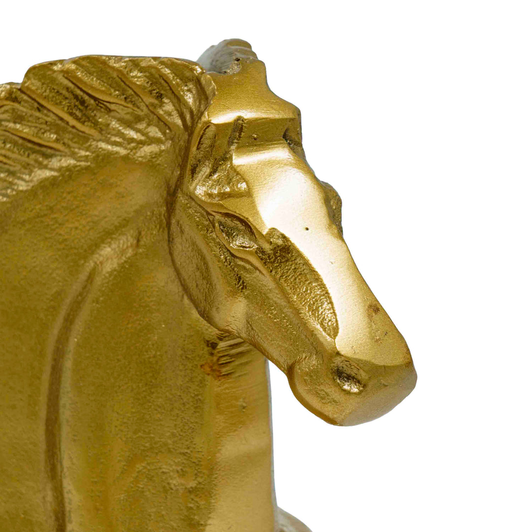 The Golden Gallant Knight