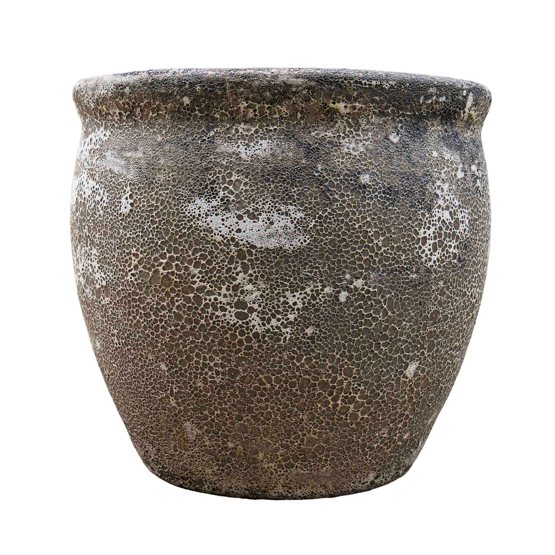 Wildroot Ceramic Pot