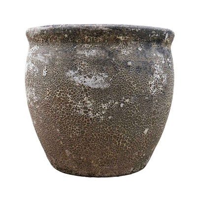 Wildroot Ceramic Pot