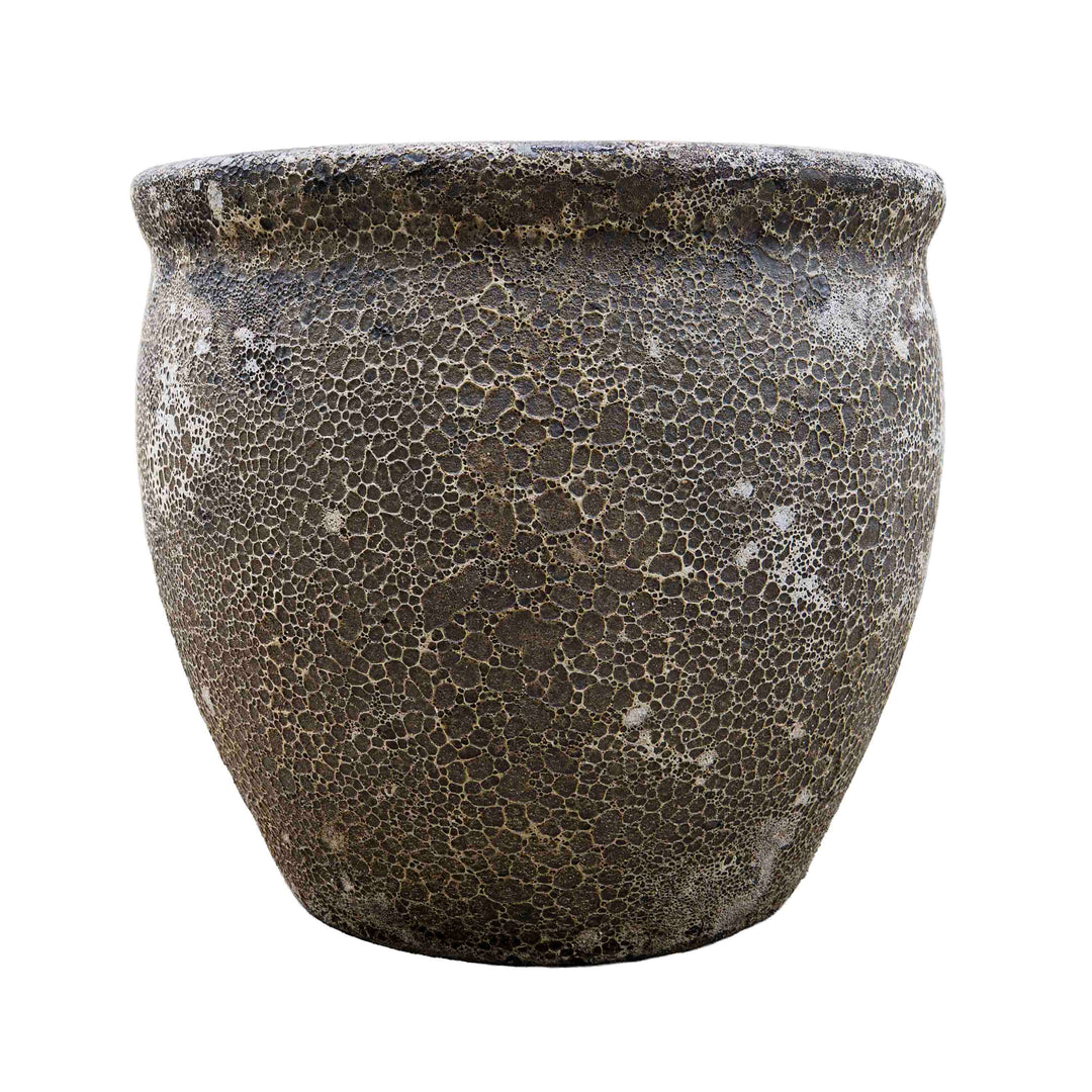 Wildroot Ceramic Pot
