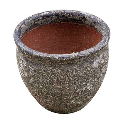 Wildroot Ceramic Pot