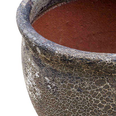 Wildroot Ceramic Pot