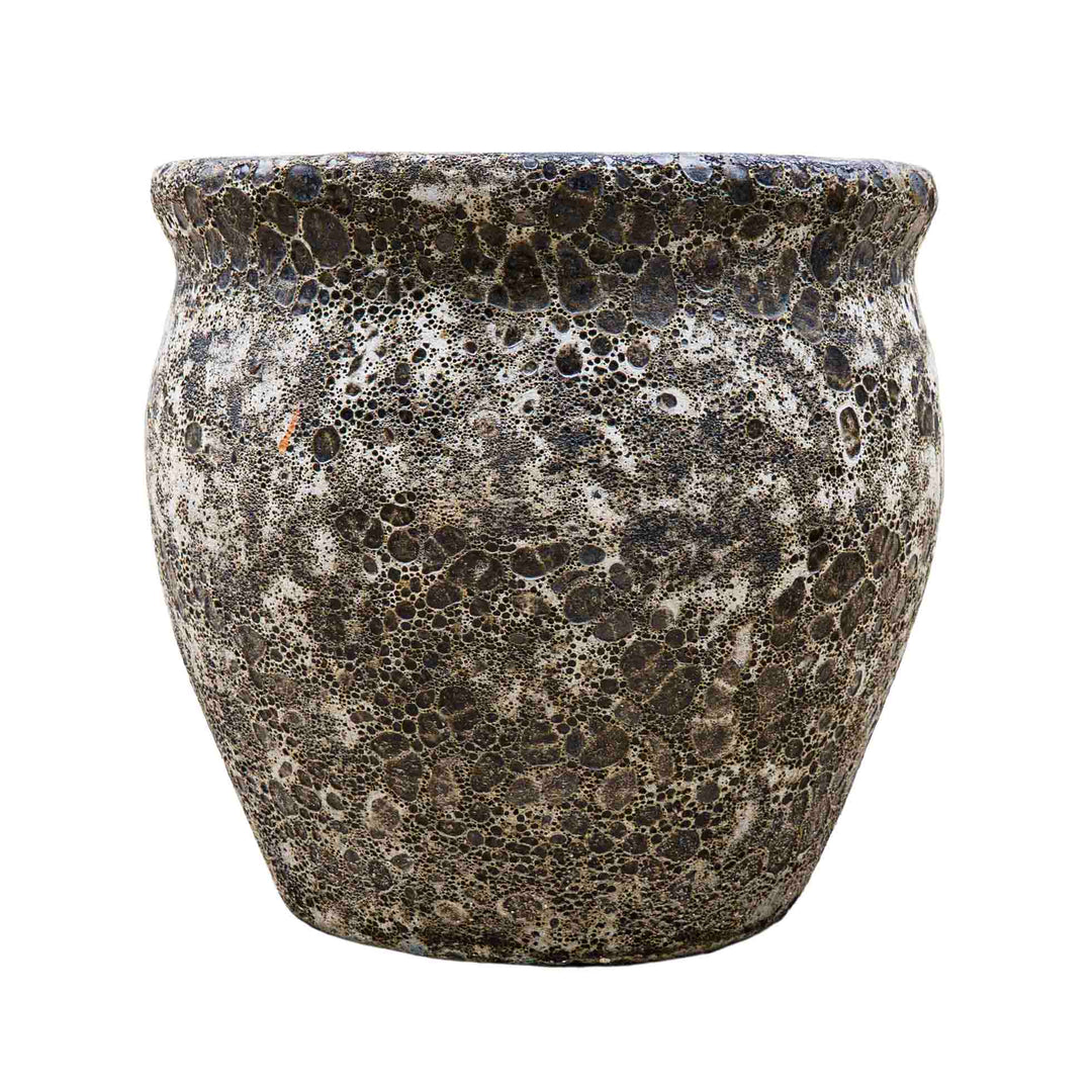 Wildroot Ceramic Pot