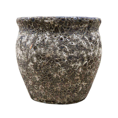 Wildroot Ceramic Pot