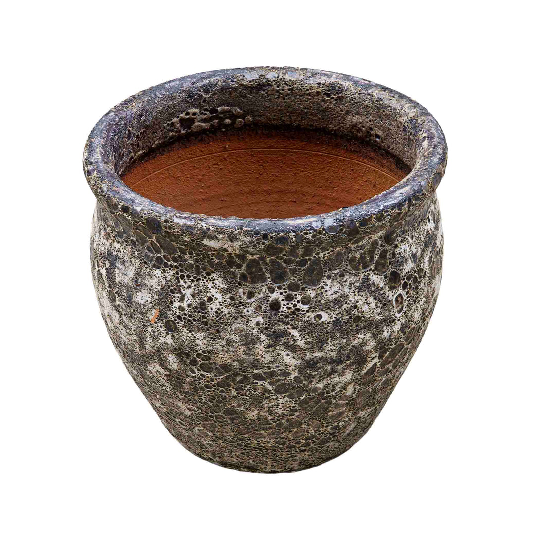 Wildroot Ceramic Pot