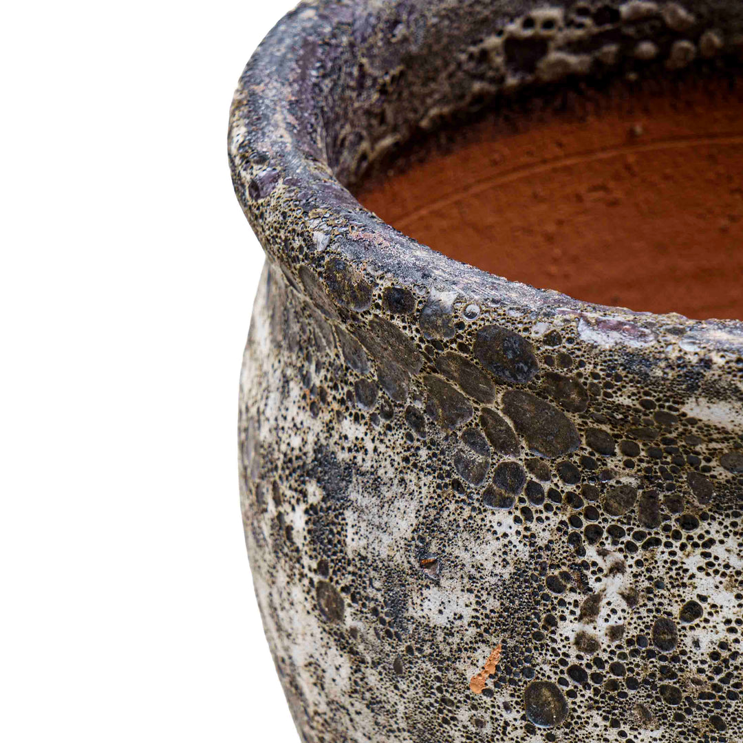 Wildroot Ceramic Pot