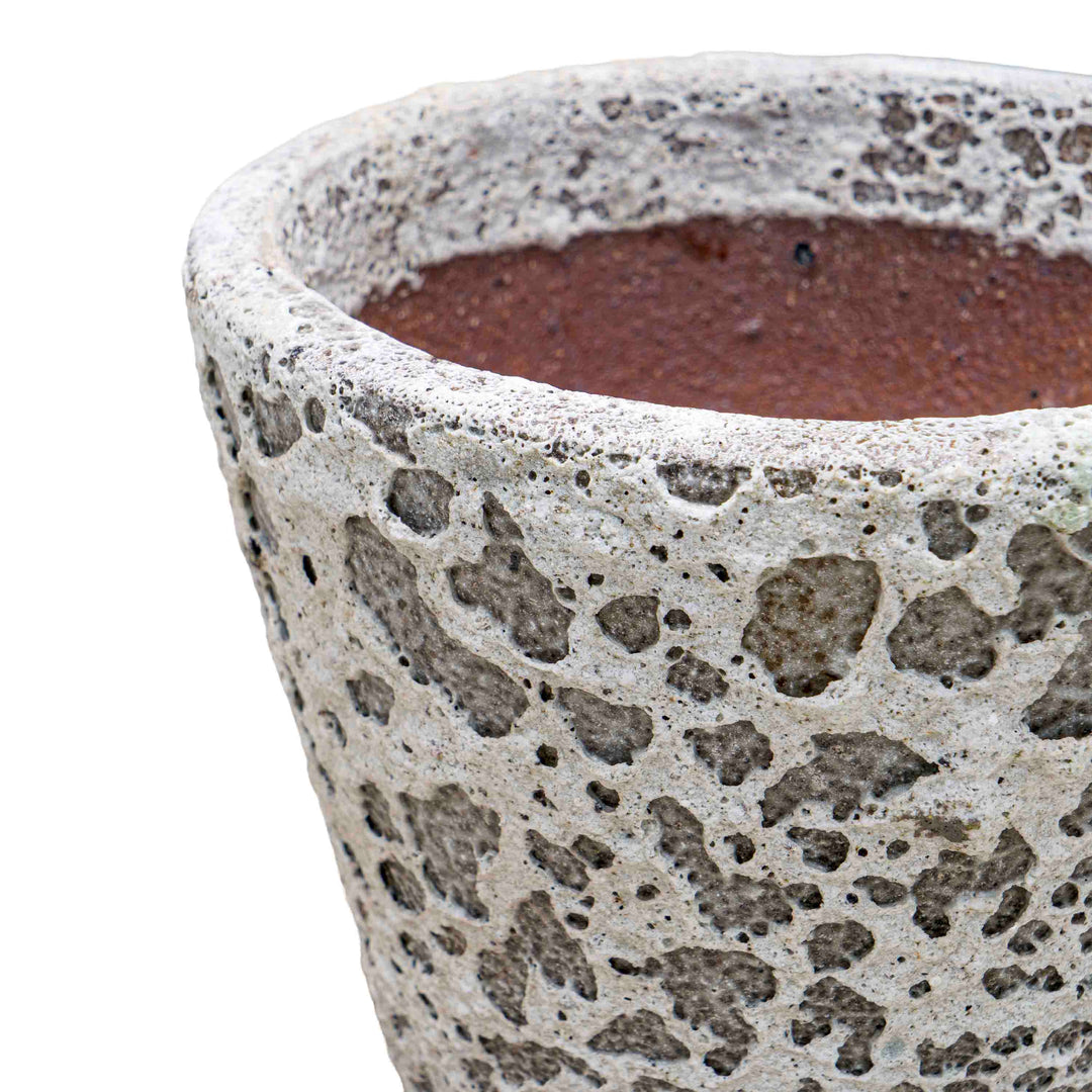 Textured White ceramic Pot