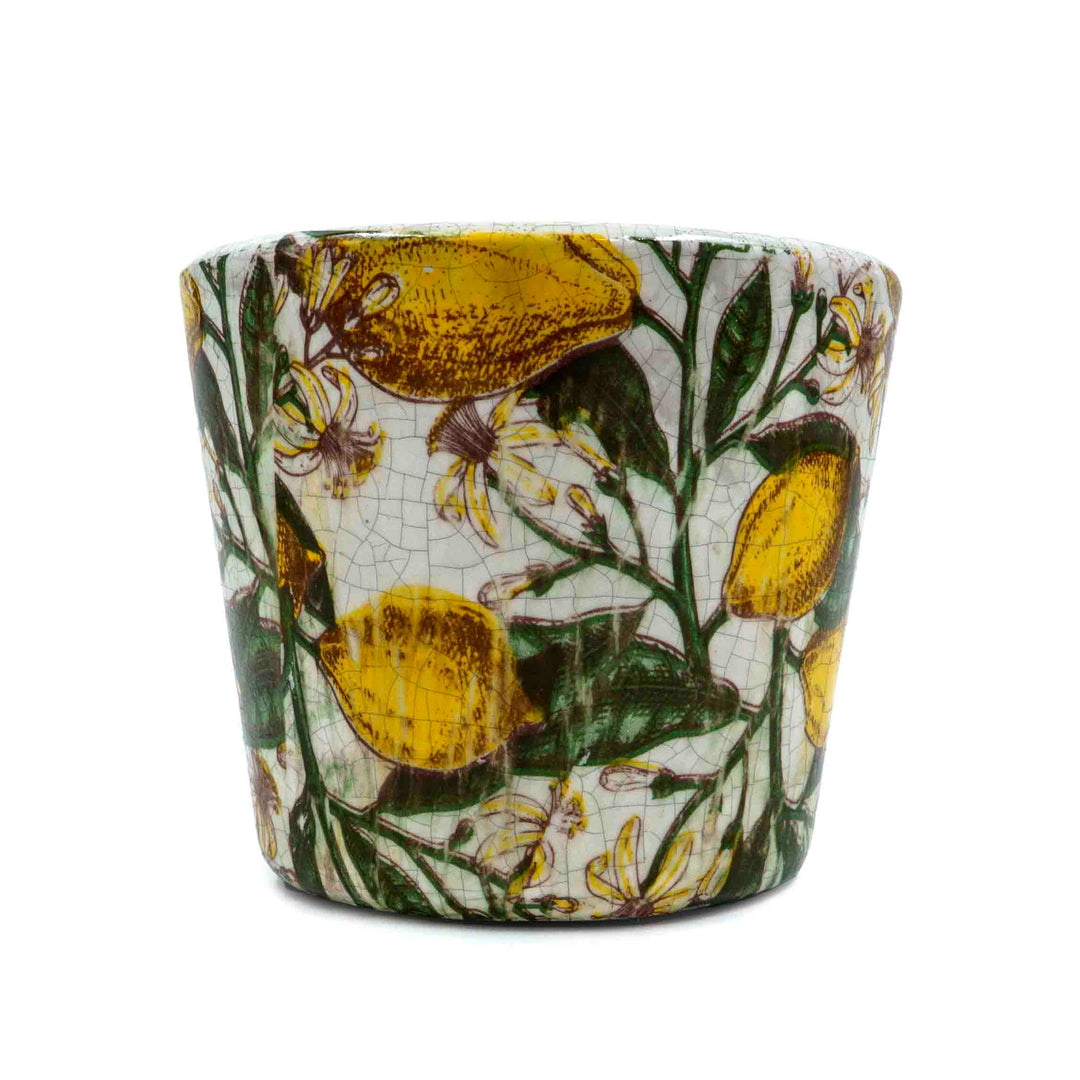 Holly Citrus Pot