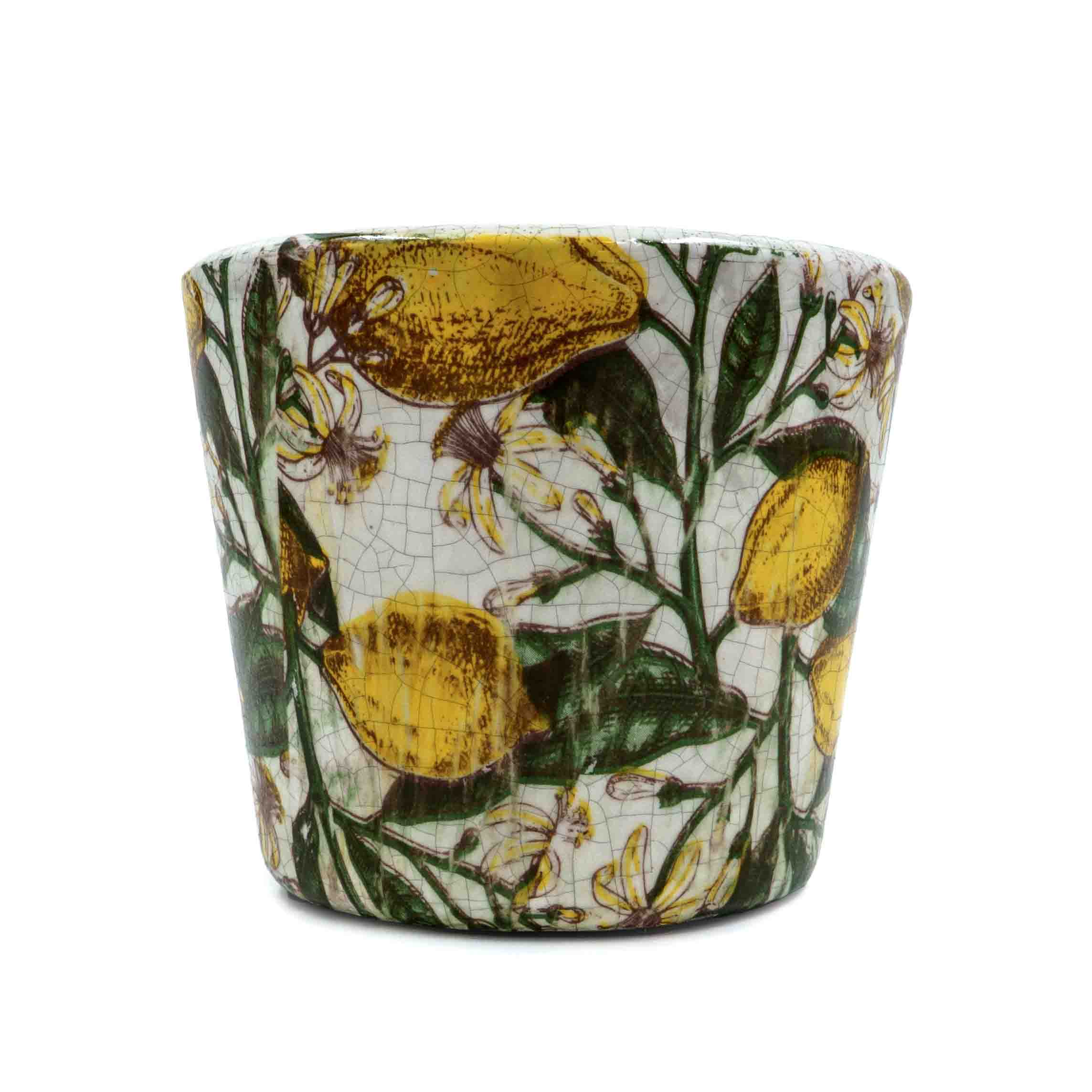Holly Citrus Pot