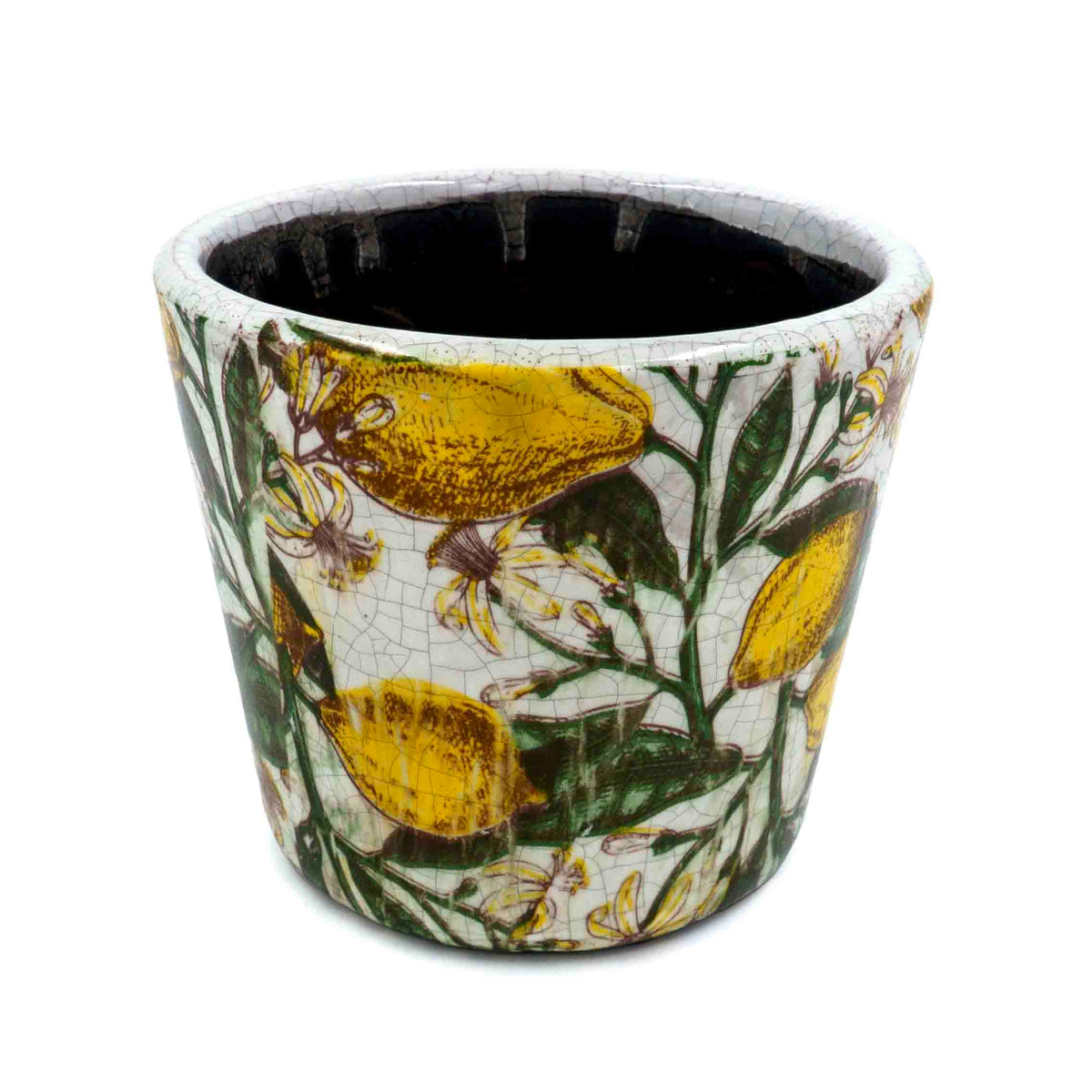 Holly Citrus Pot