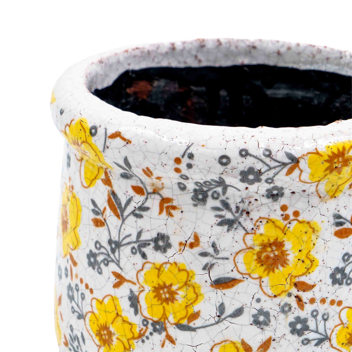 Holly Daffodil Pot