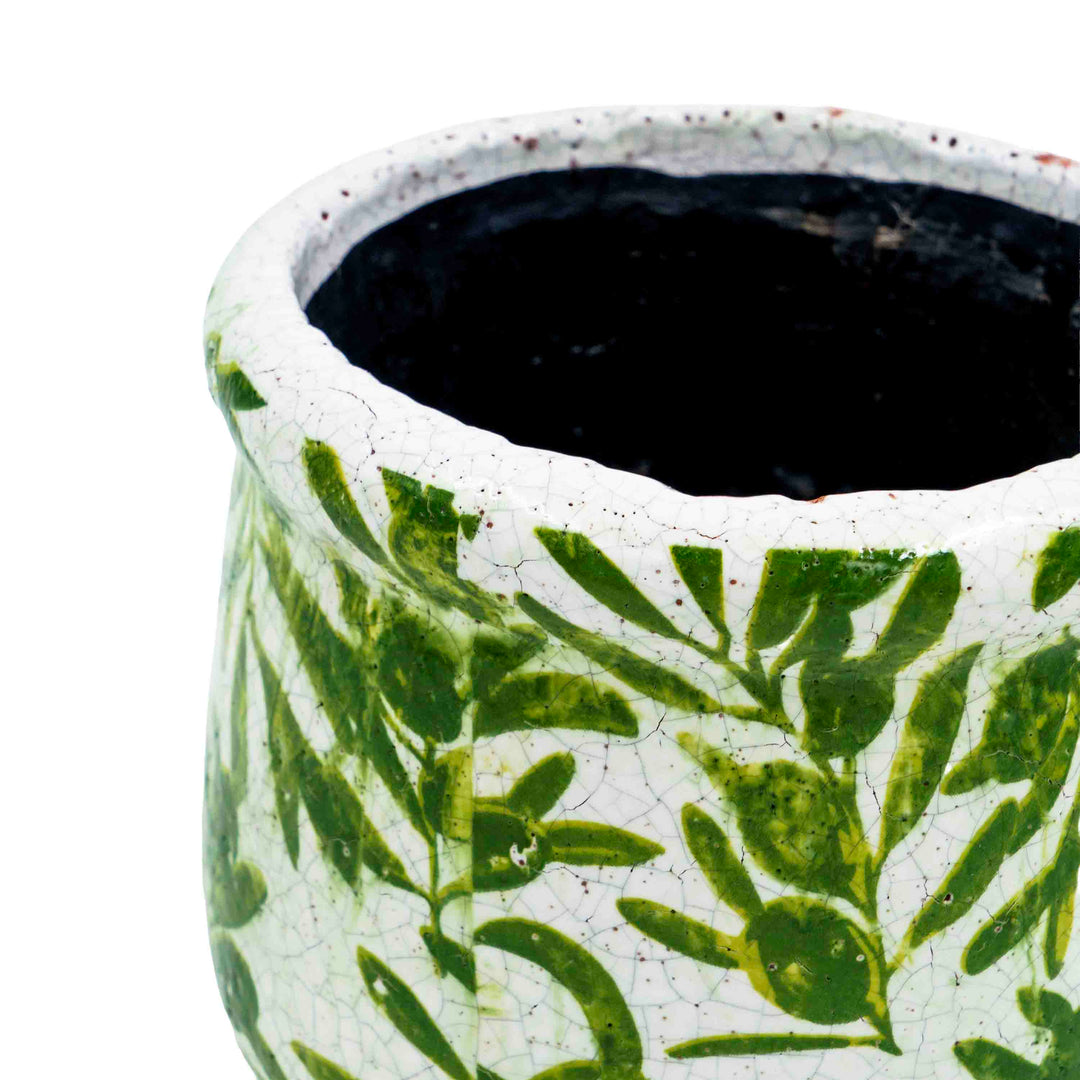 Holly Willow Pot