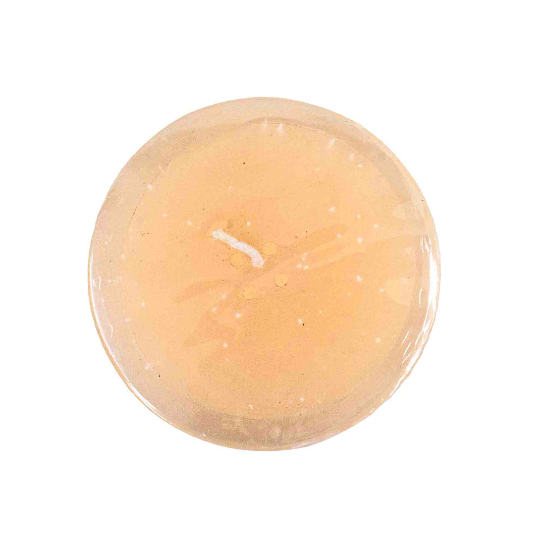 Bella Luna Pillar candles - Bliss