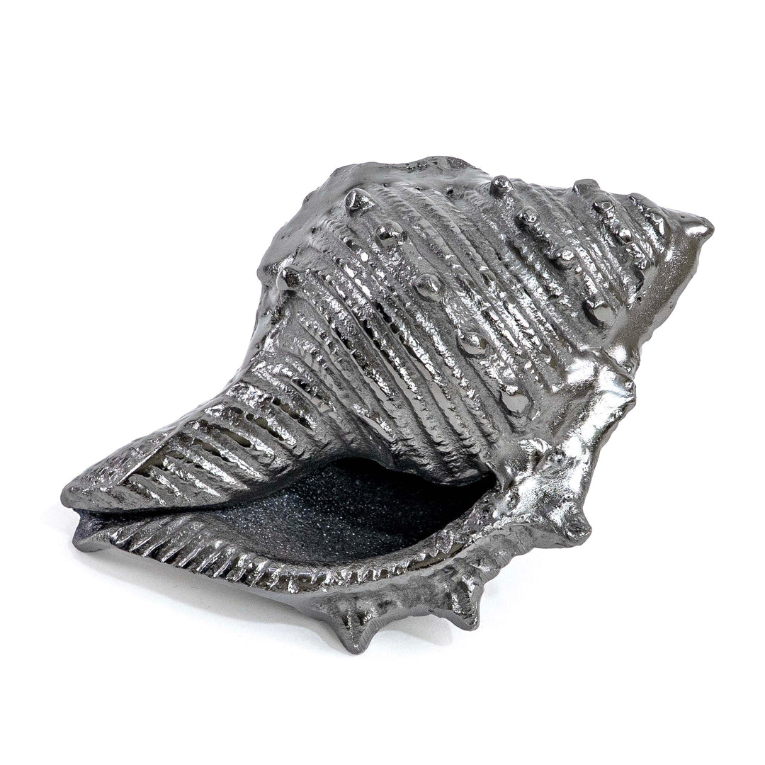 CONCH SHELL