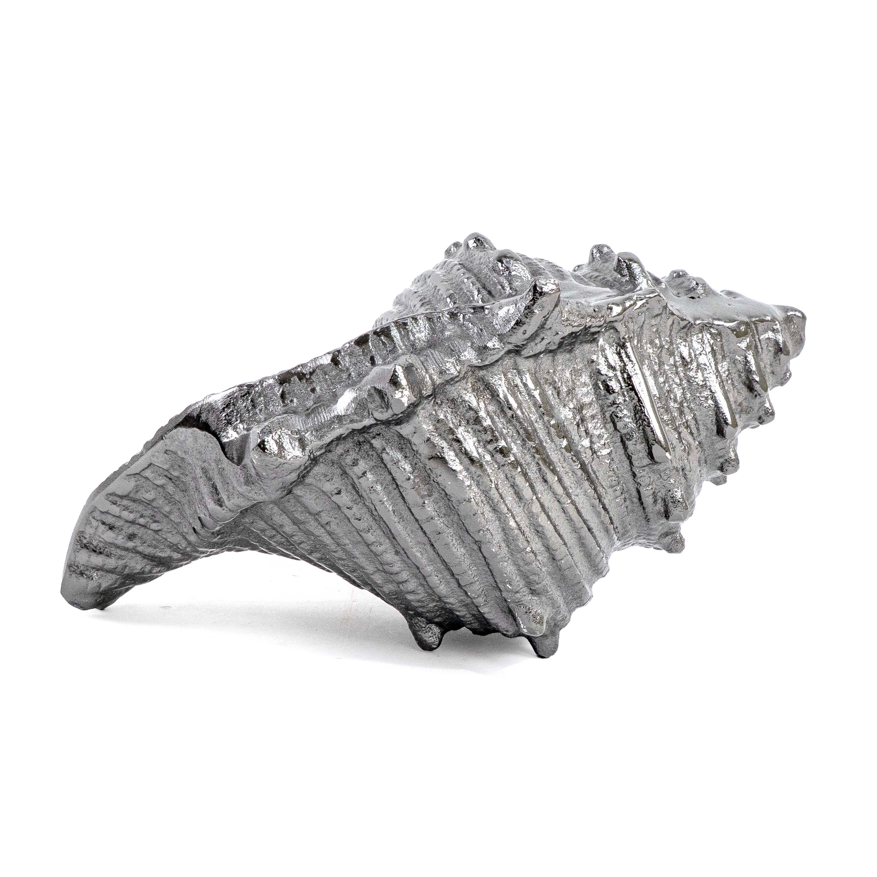 CONCH SHELL