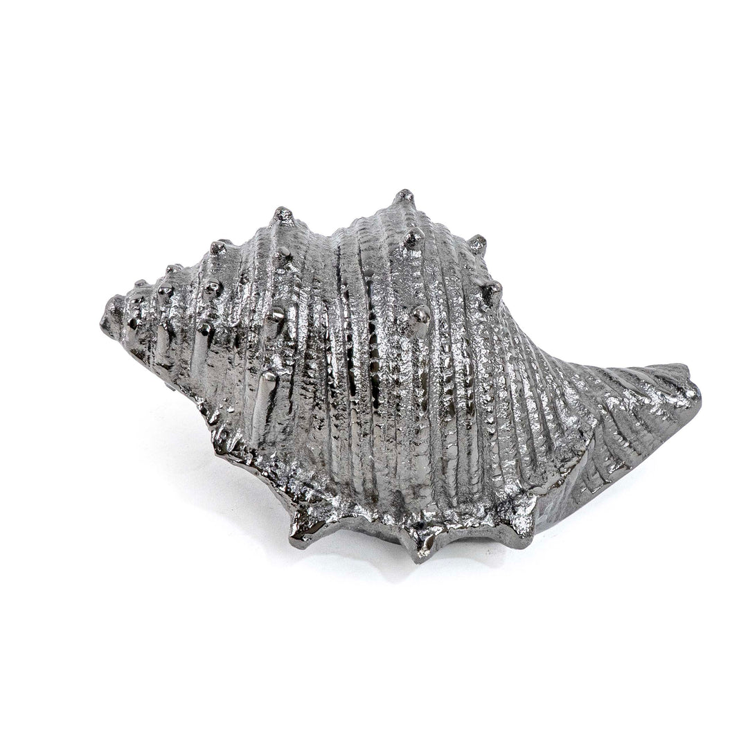 CONCH SHELL