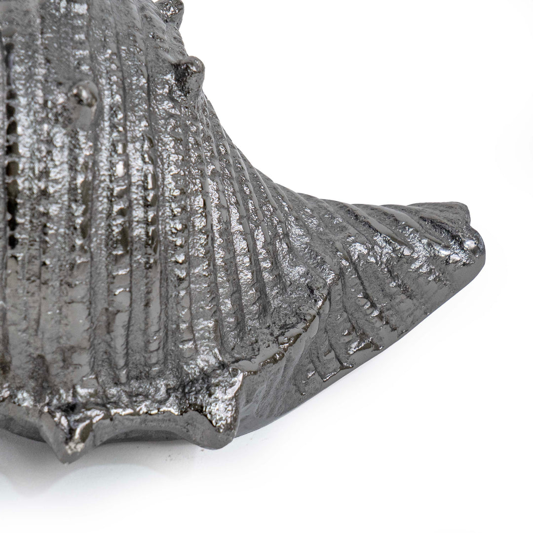 CONCH SHELL
