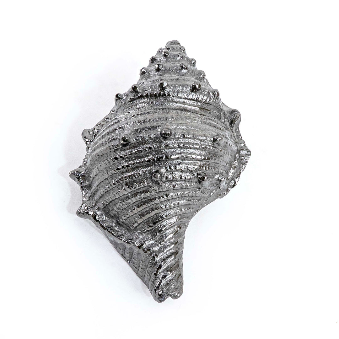 CONCH SHELL