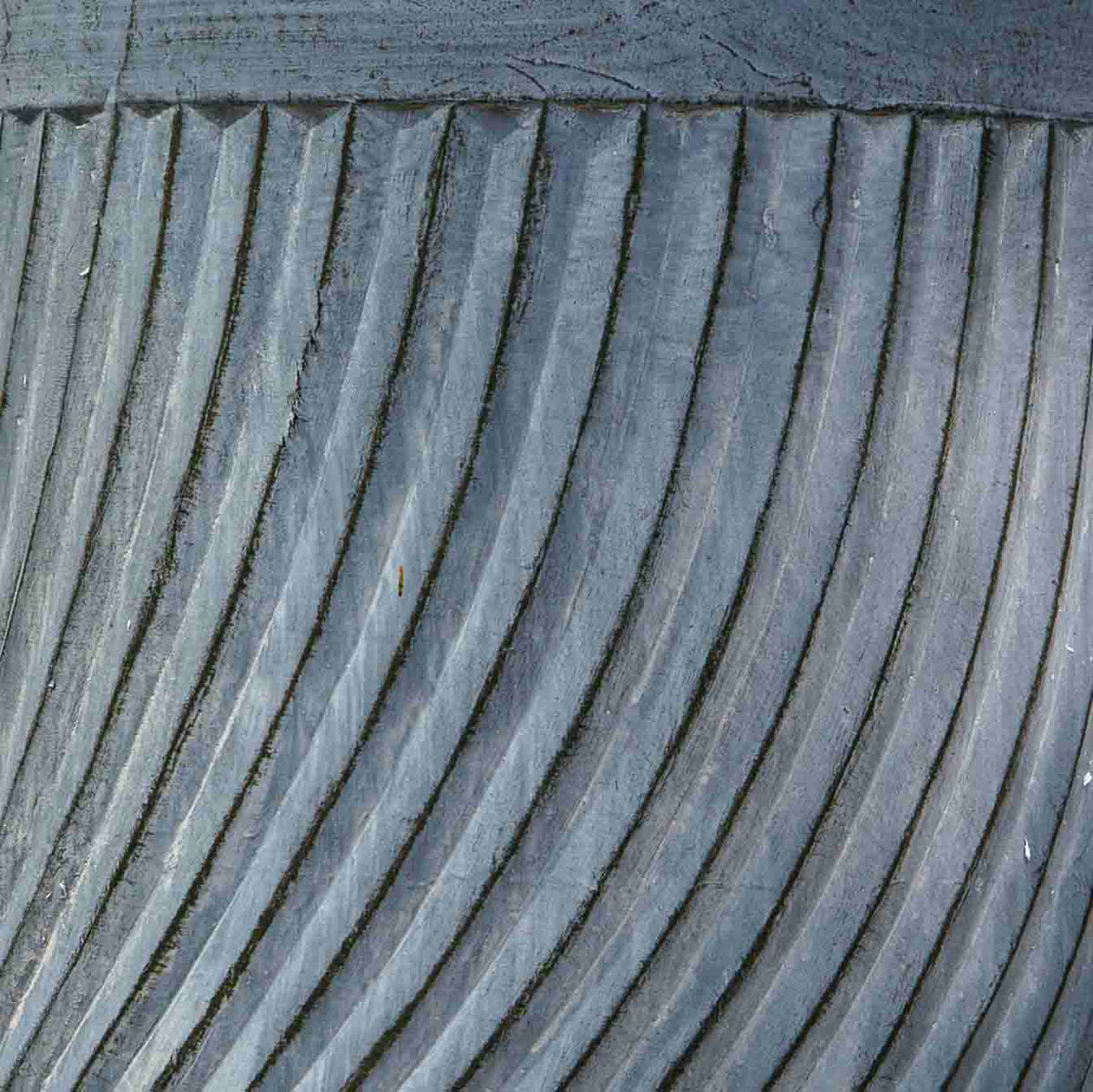 TUTU WAVES PLANTER