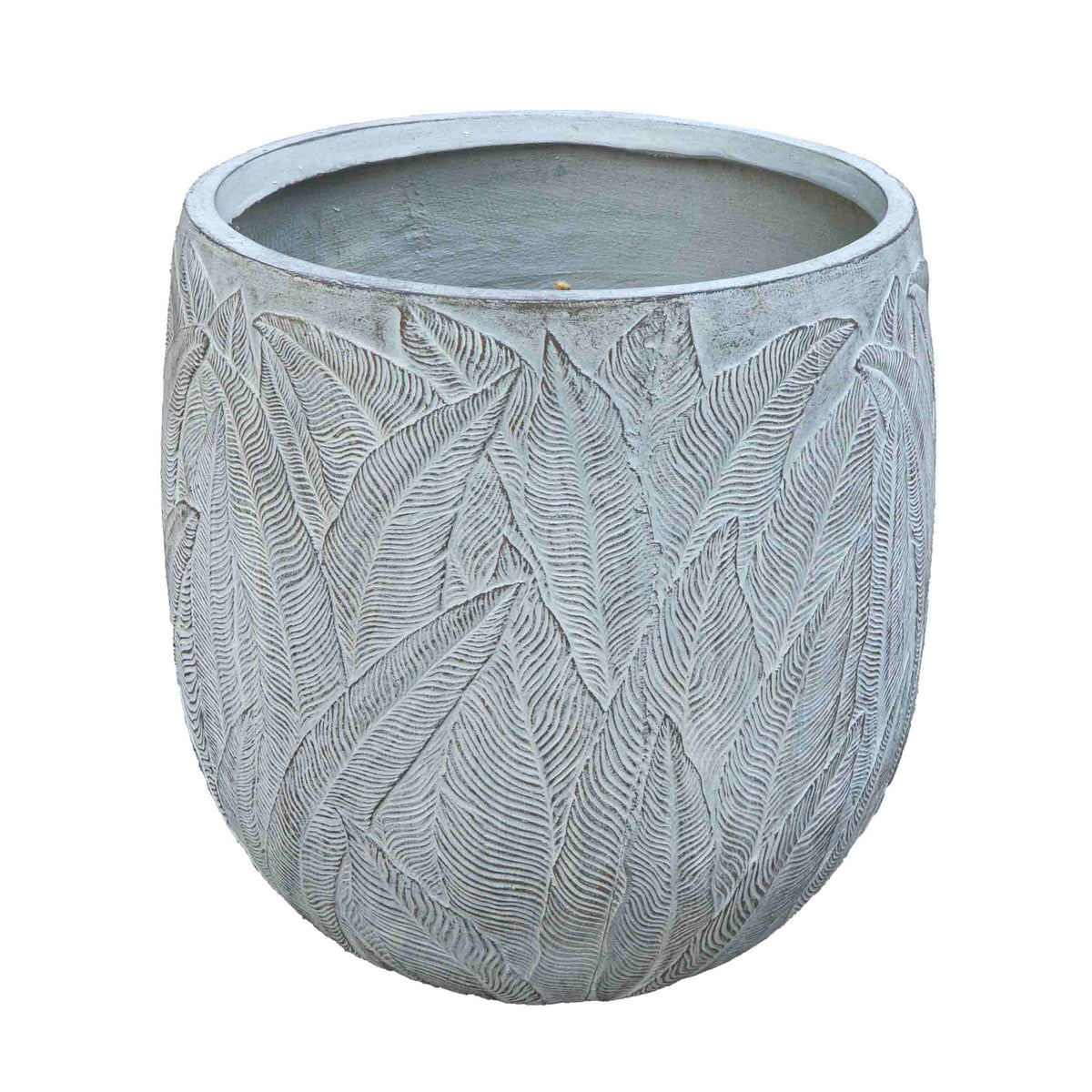 FERN OLLY PLANTER