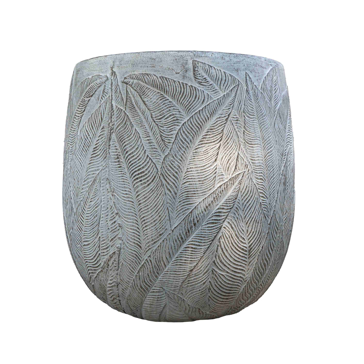 FERN OLLY PLANTER