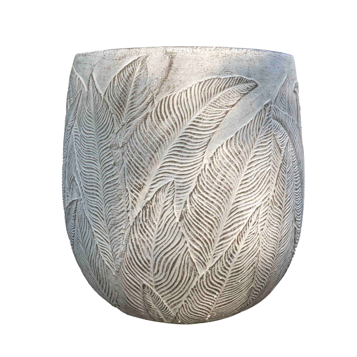 FERN OLLY PLANTER