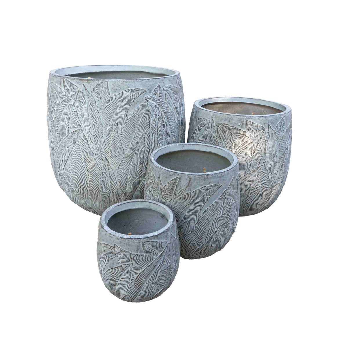 FERN OLLY PLANTER