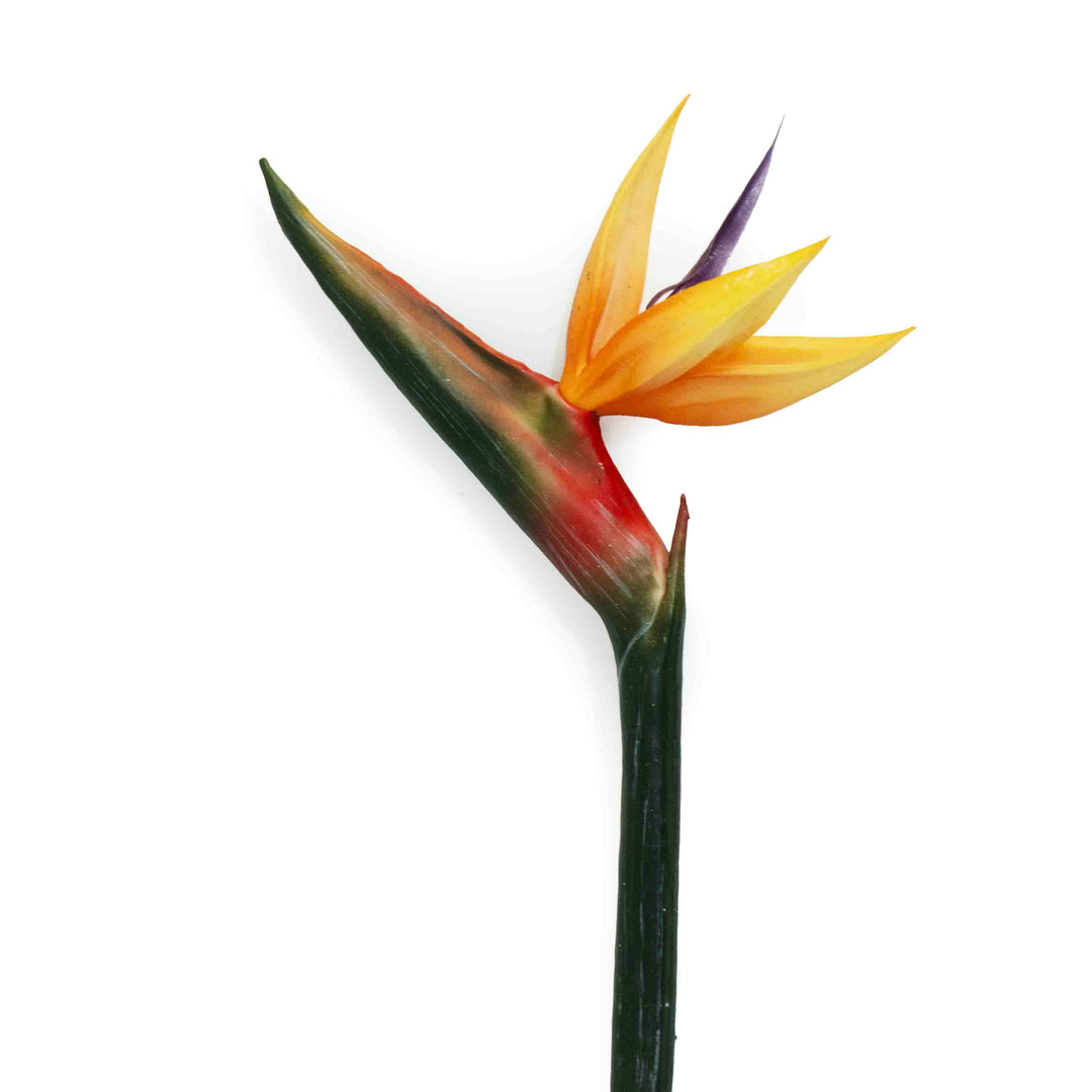 FAUX BIRD OF PARADISE STEM