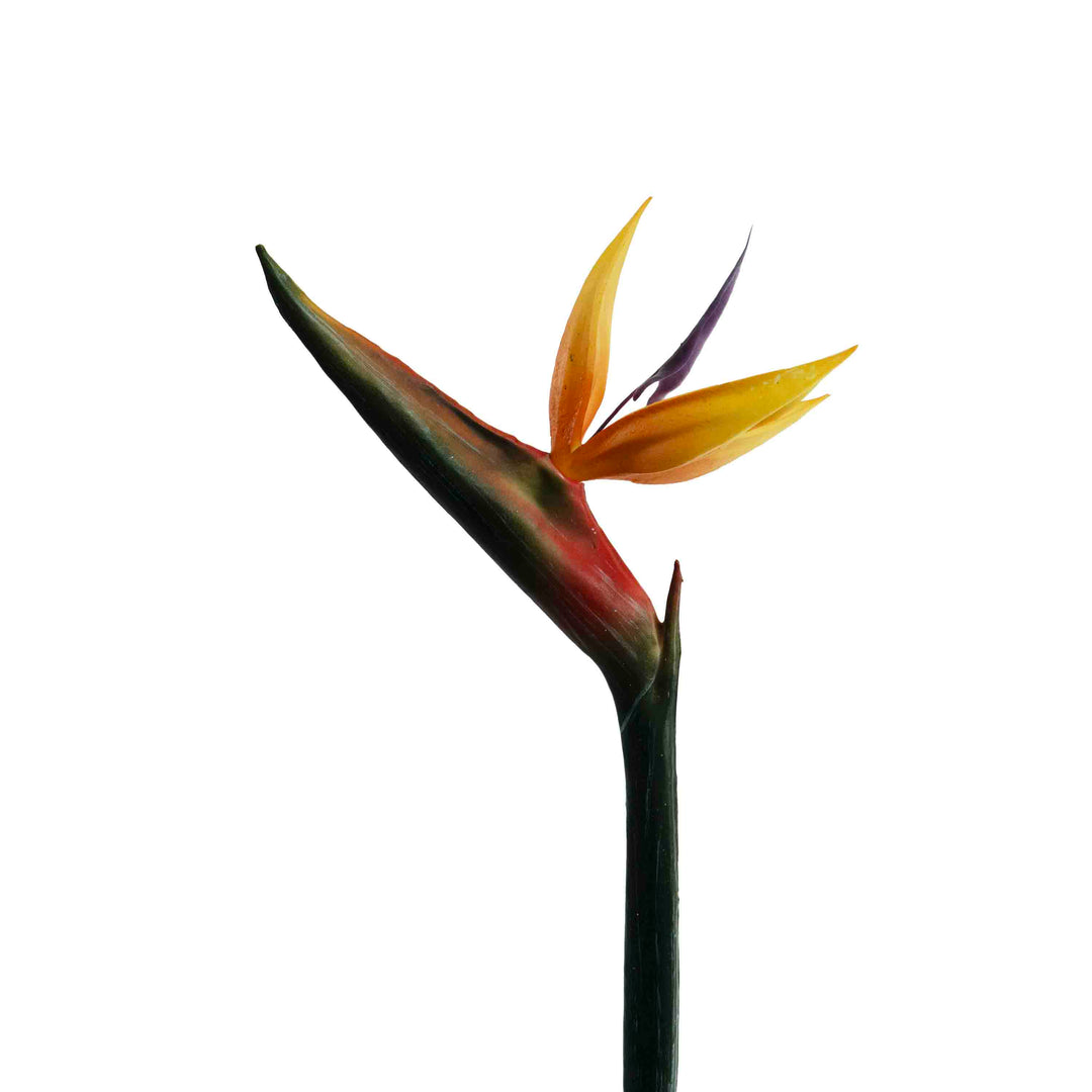 FAUX BIRD OF PARADISE STEM
