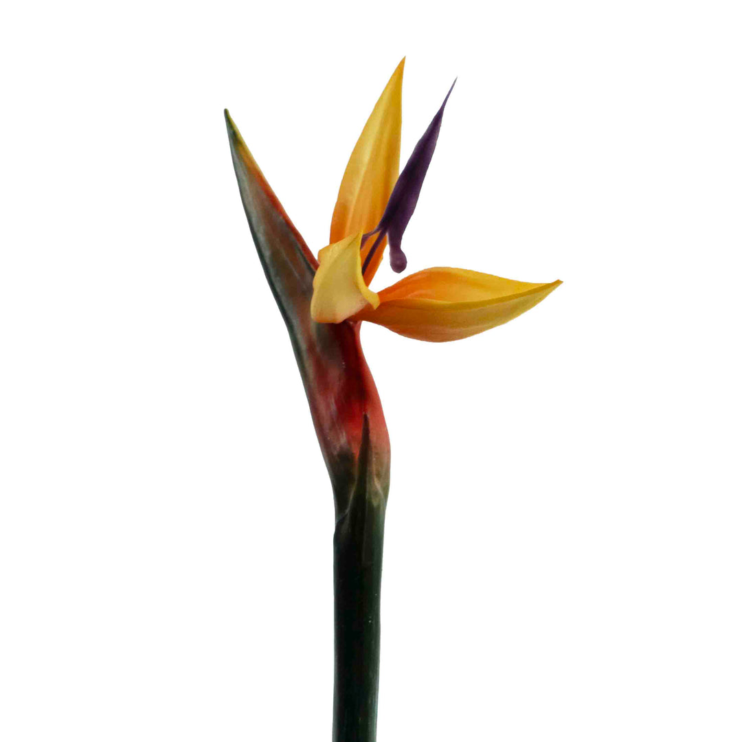 FAUX BIRD OF PARADISE STEM