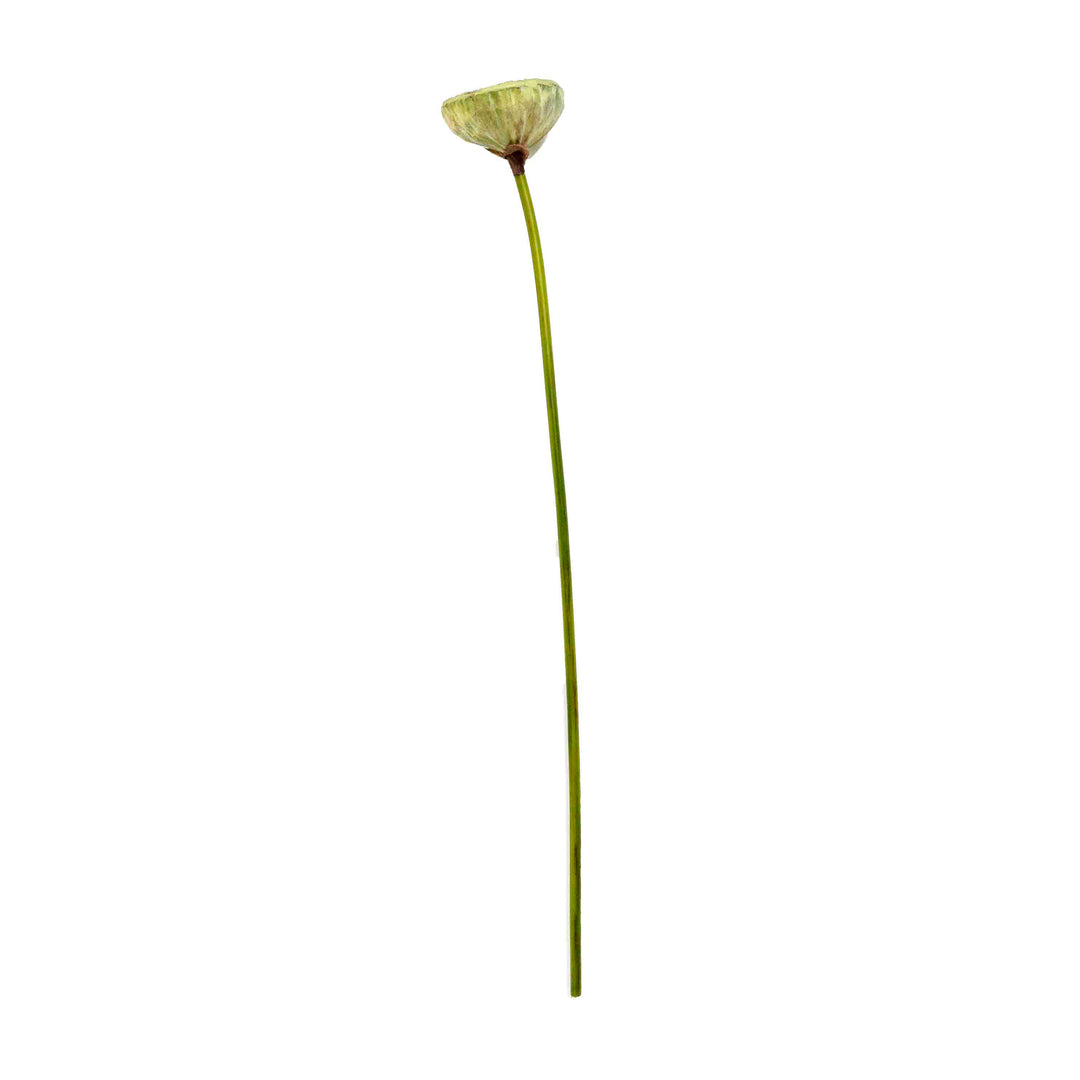 FAUX LOTUS BUD STEM