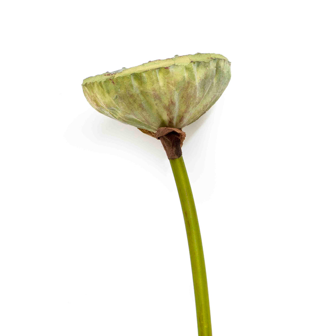 FAUX LOTUS BUD STEM