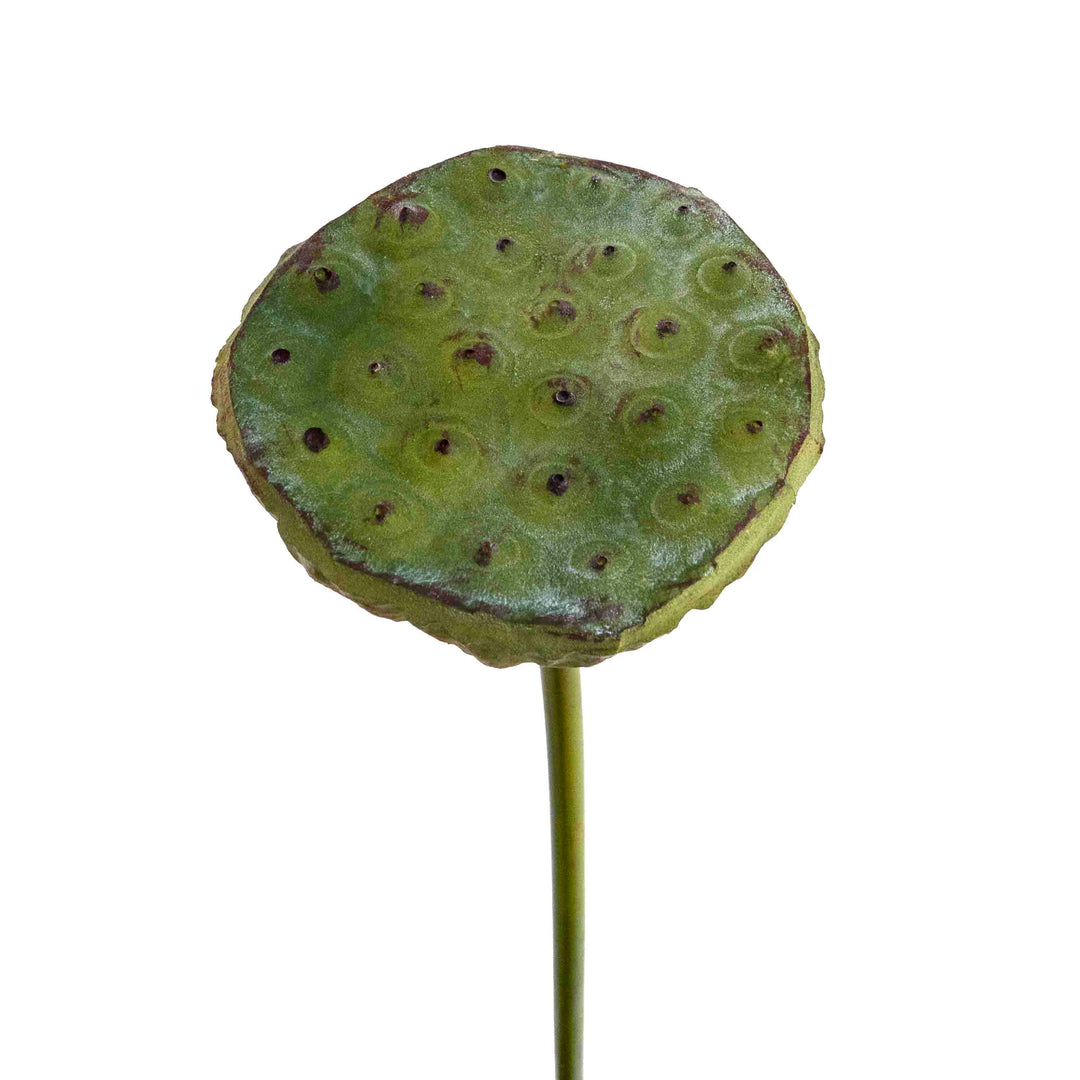 FAUX LOTUS BUD STEM