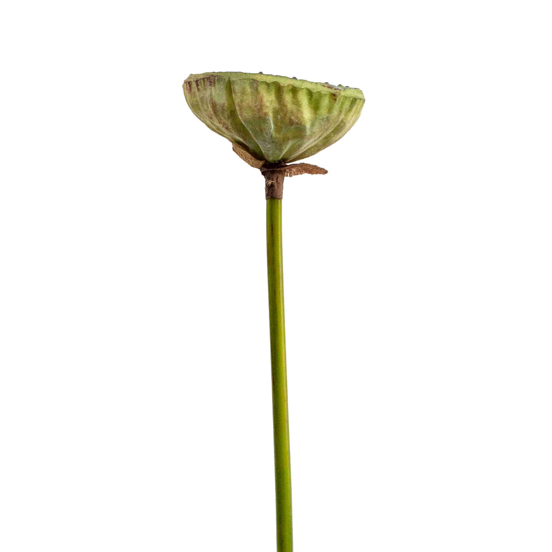 FAUX LOTUS BUD STEM
