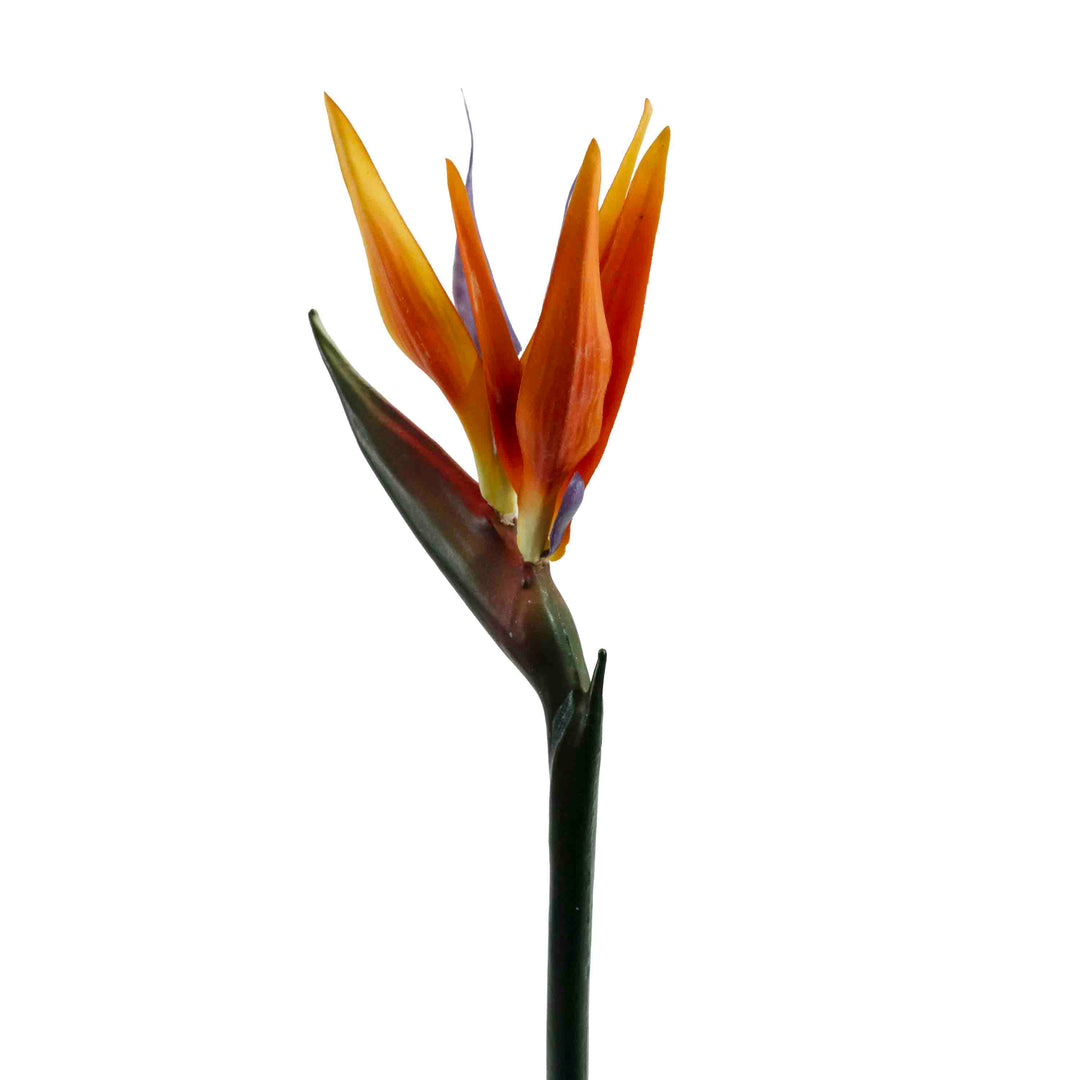 FAUX 2 PETAL BIRD OF PARADISE STEM