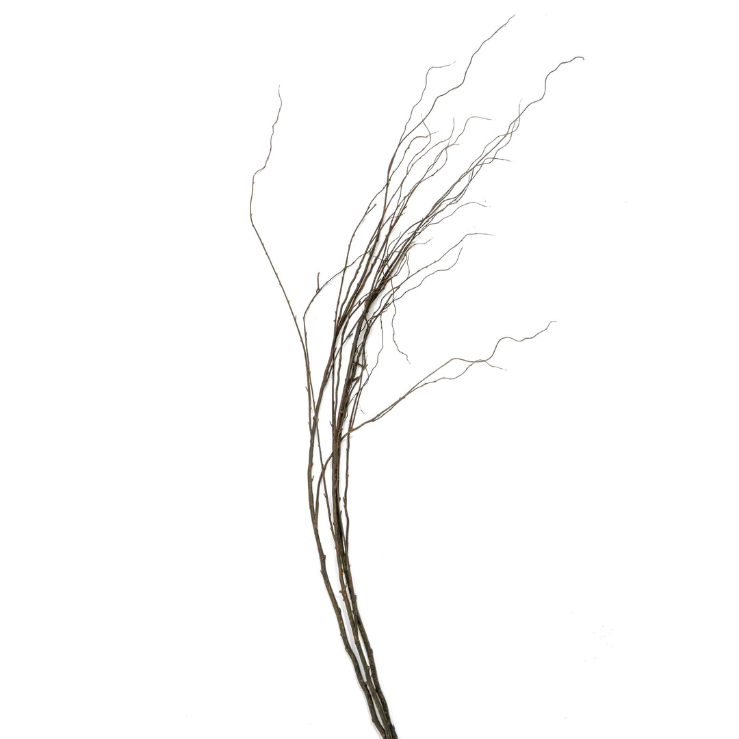 PTLE FAUX CURLY WILLOW STEM
