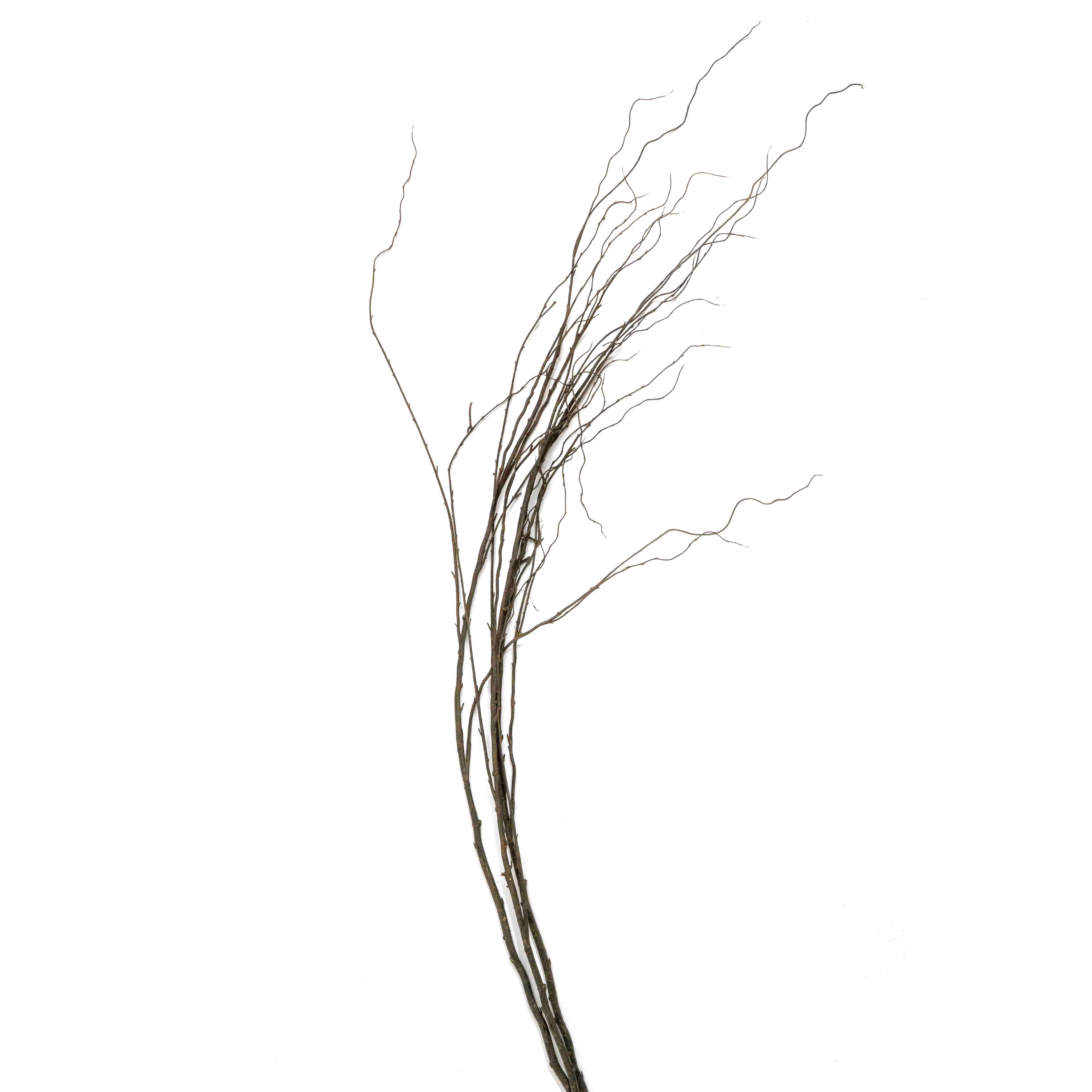FAUX CURLY WILLOW STEM