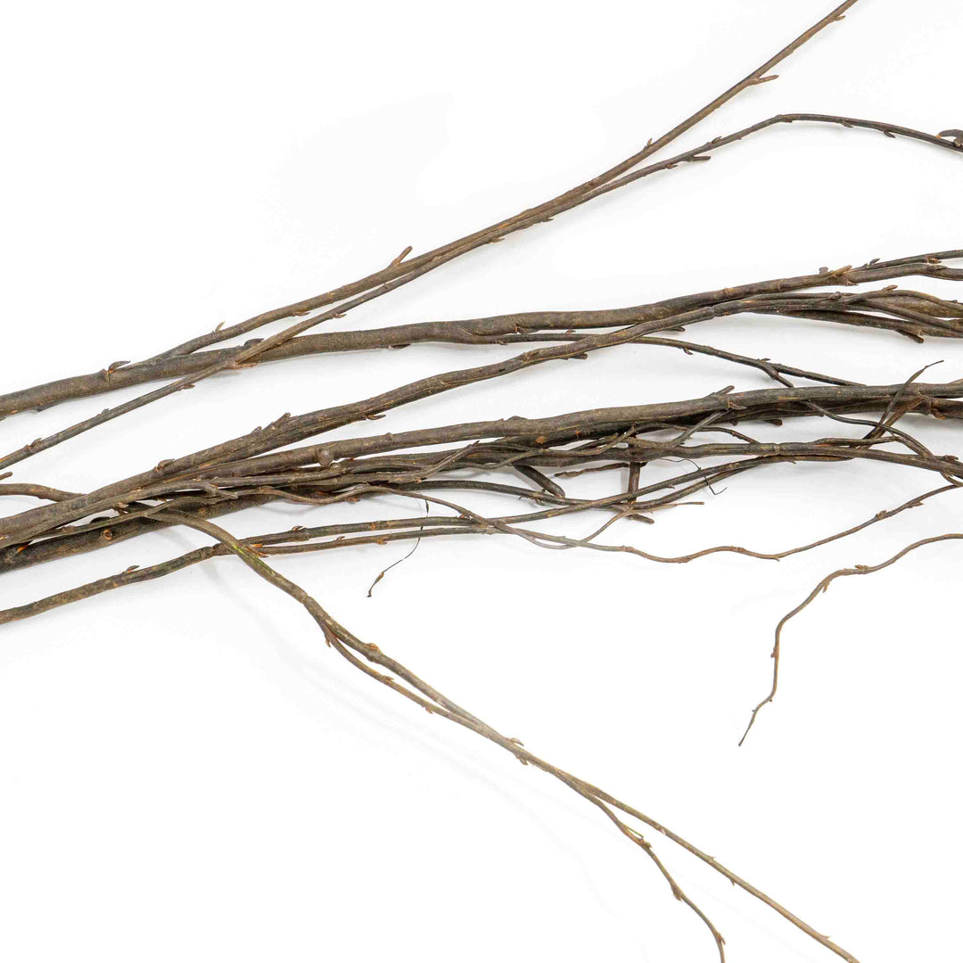 PTLE FAUX CURLY WILLOW STEM