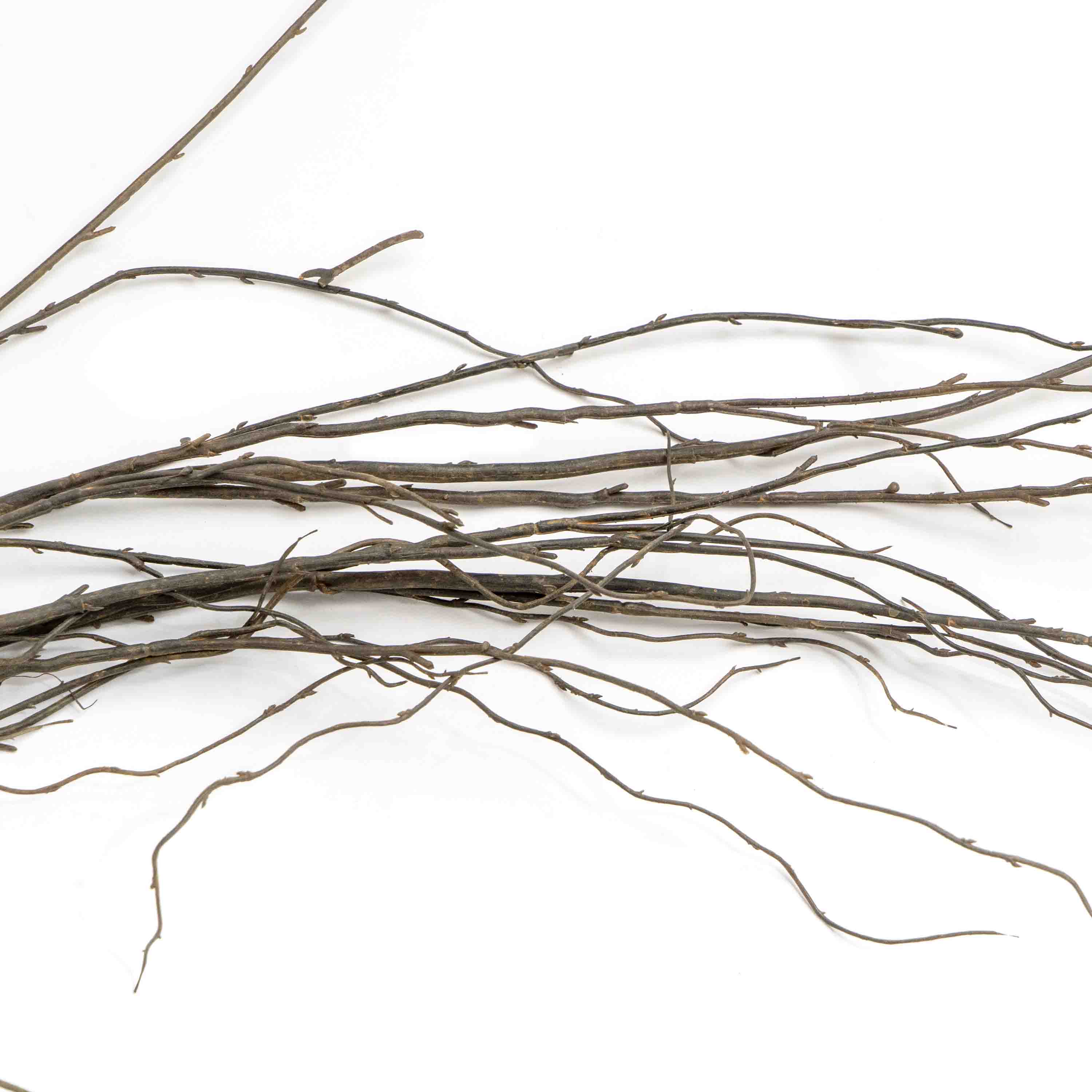 FAUX CURLY WILLOW STEM