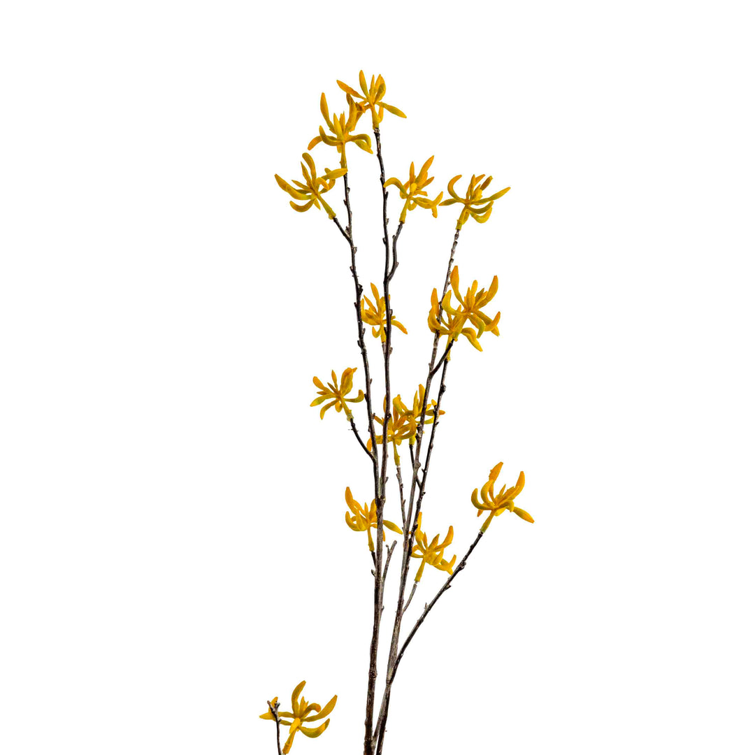 FAUX KANGAROO PAW SPRAY STEM