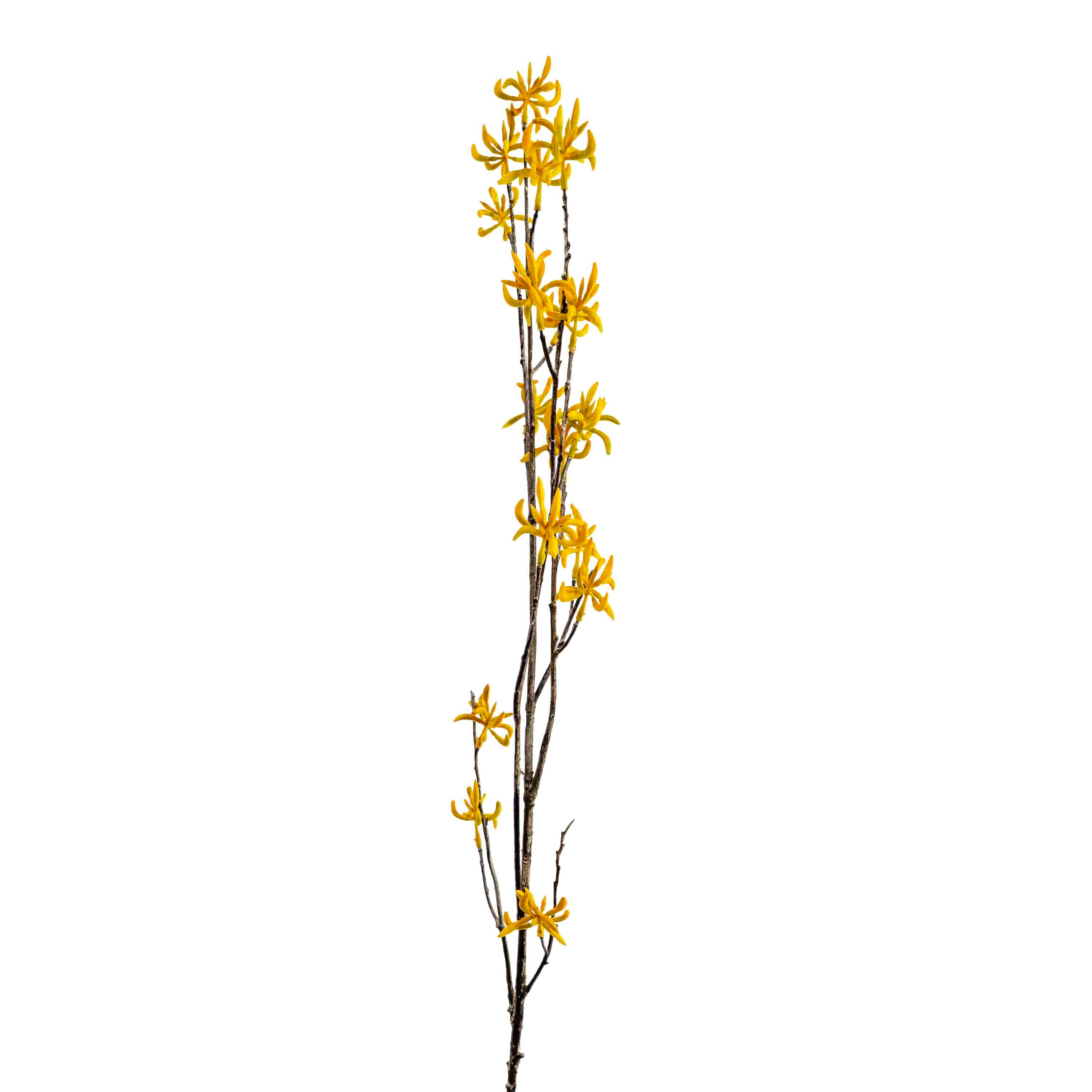 FAUX KANGAROO PAW SPRAY STEM