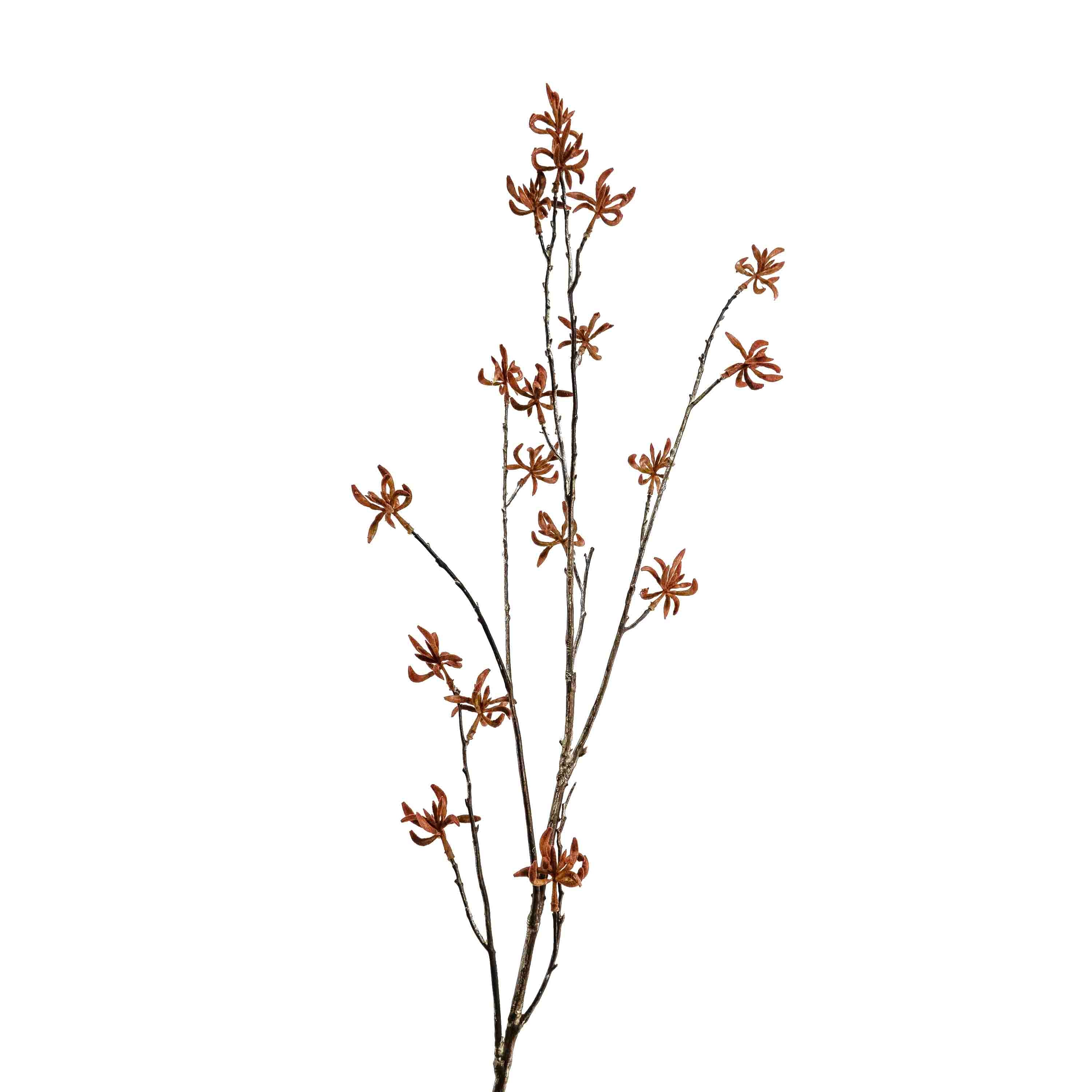 FAUX KANGAROO PAW SPRAY STEM