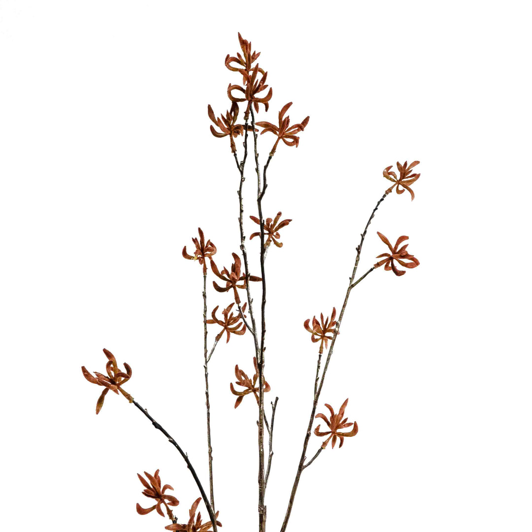 FAUX KANGAROO PAW SPRAY STEM