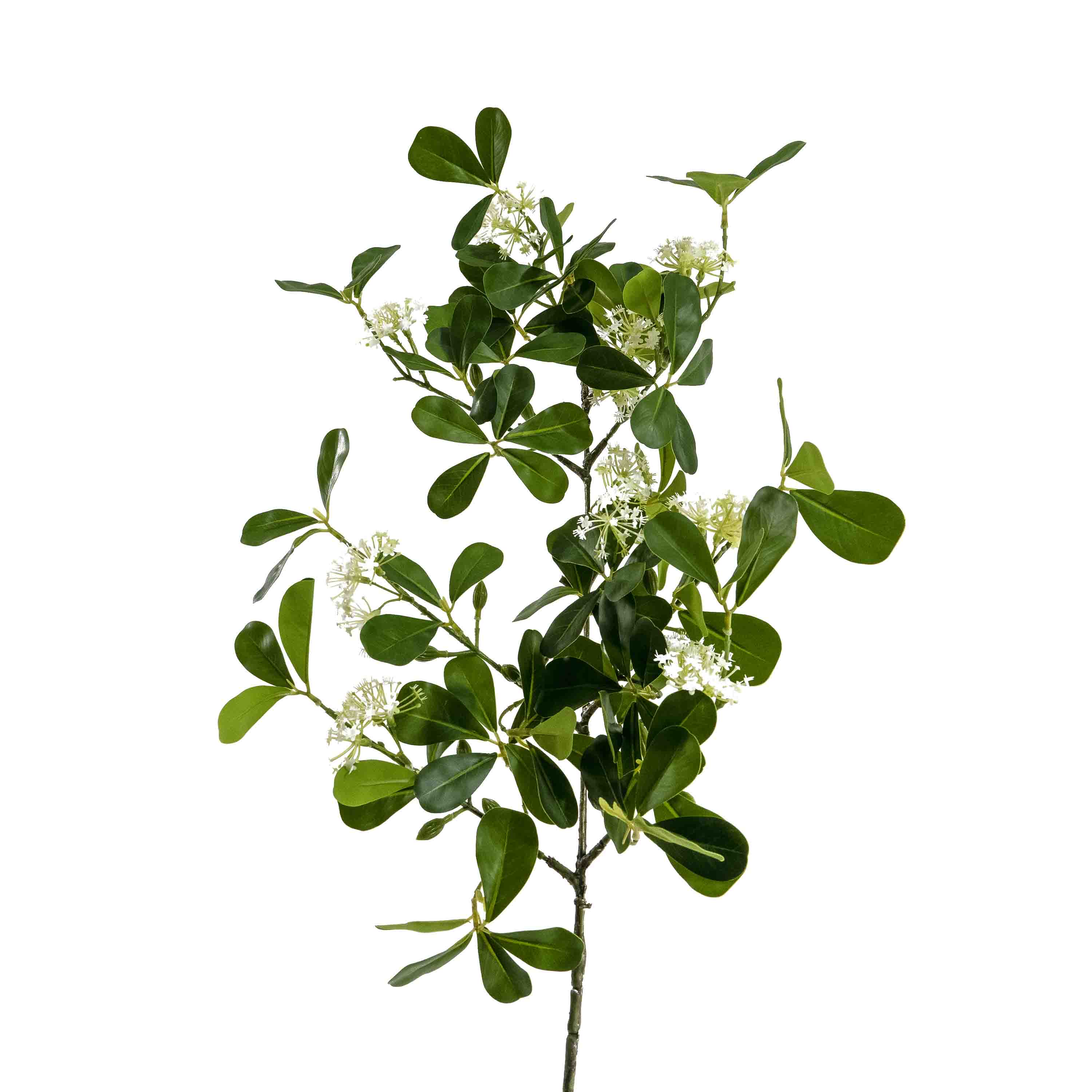 FAUX HOYA AUSTRALIS STEM FOLIAGE