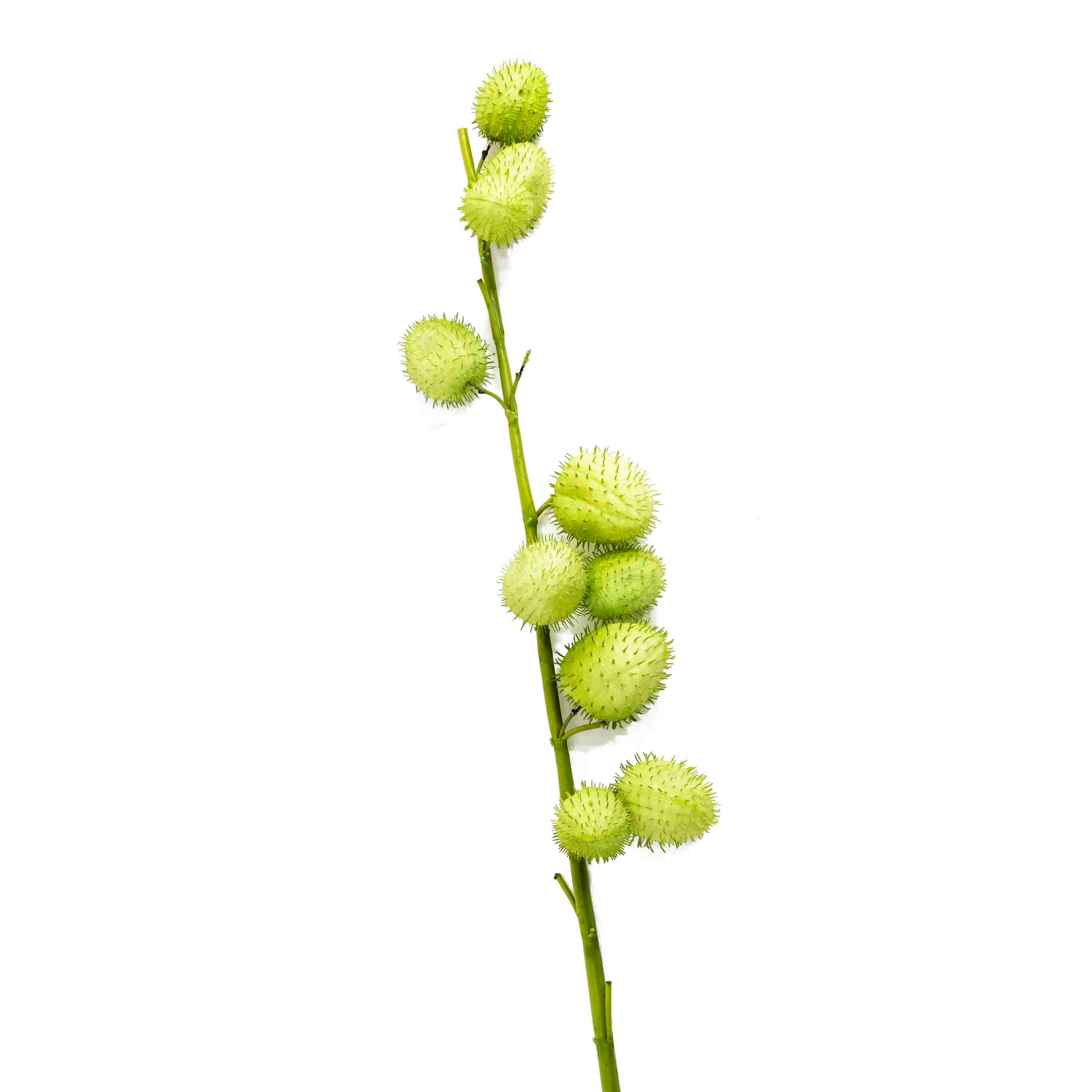 FAUX BALLOON PLANT STEM