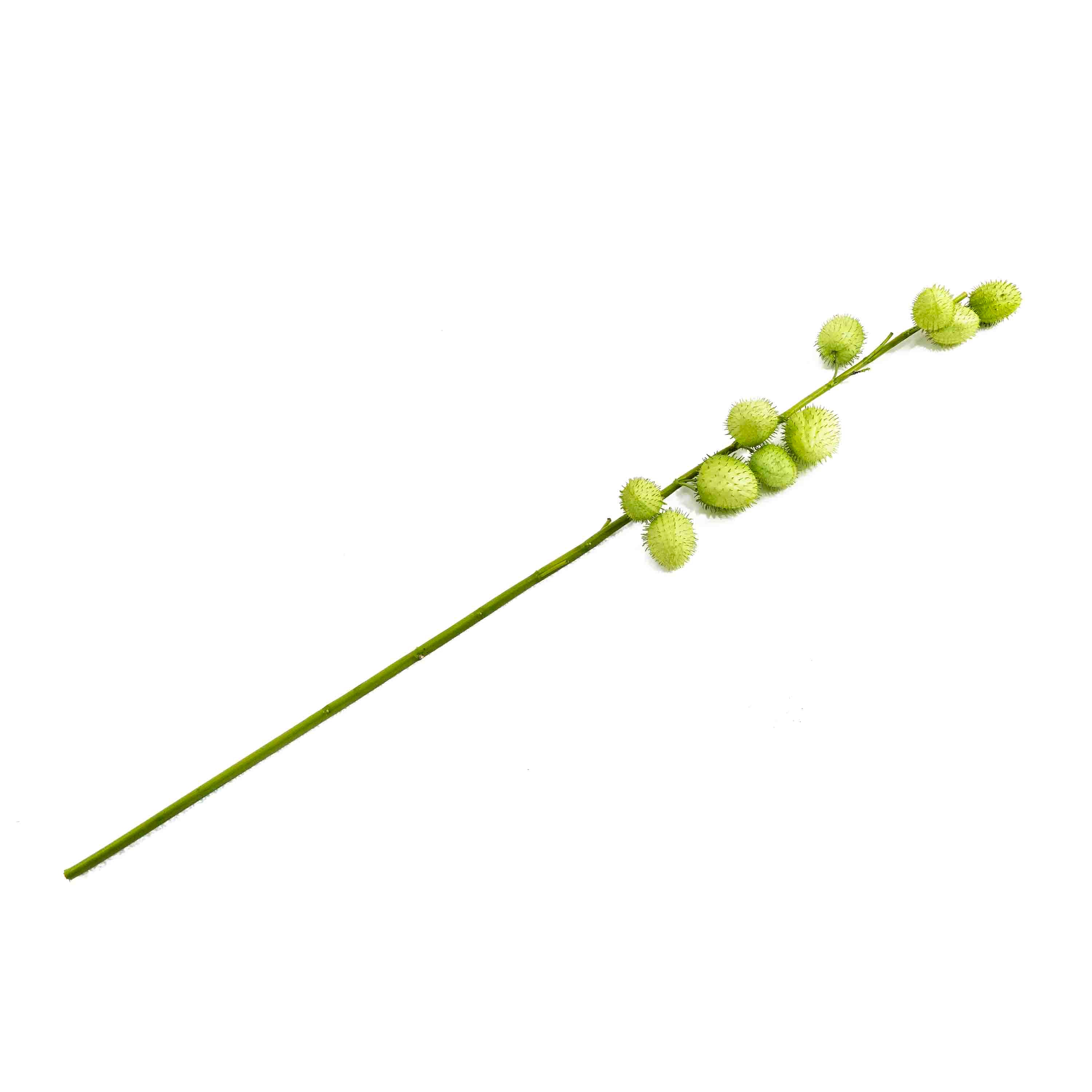 FAUX BALLOON PLANT STEM