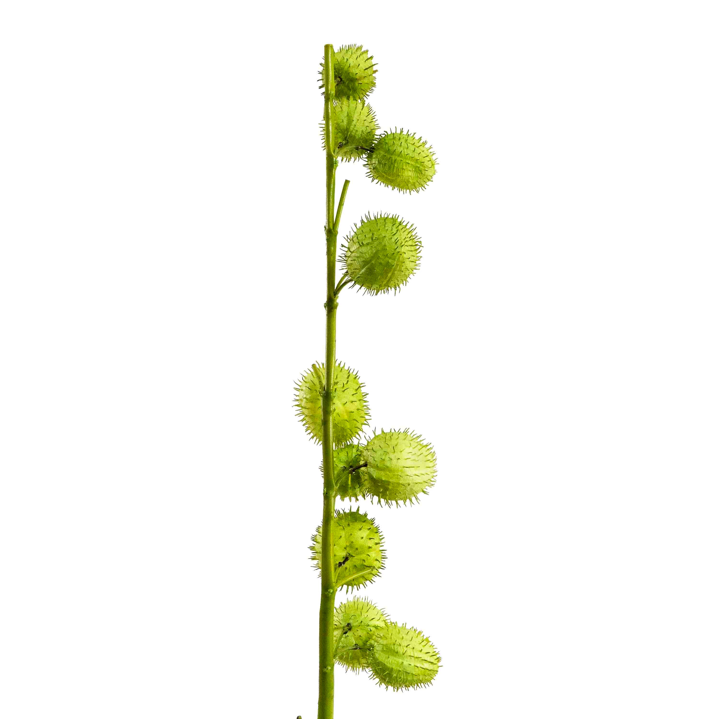 FAUX BALLOON PLANT STEM