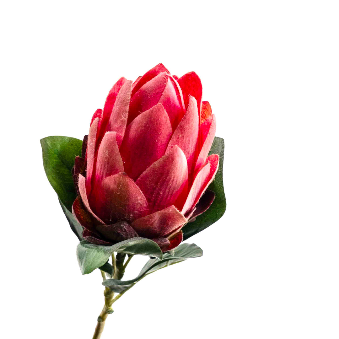FAUX PROTEA STEM